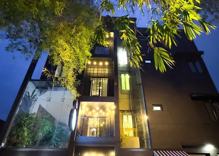 B&B only: Fern Colombo